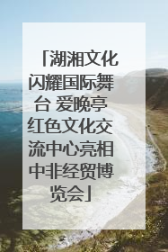 湖湘文化闪耀国际舞台 爱晚亭红色文化交流中心亮相中非经贸博览会