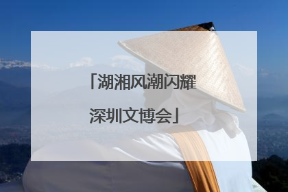 湖湘风潮闪耀深圳文博会