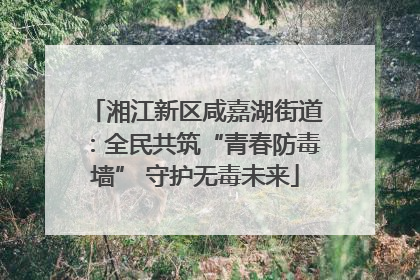 湘江新区咸嘉湖街道：全民共筑“青春防毒墙” 守护无毒未来