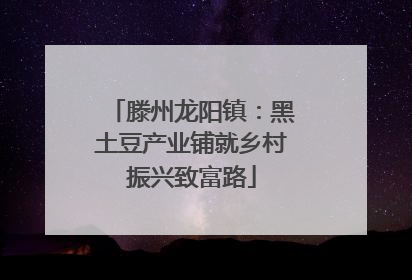 滕州龙阳镇：黑土豆产业铺就乡村振兴致富路