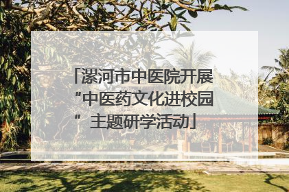 漯河市中医院开展“中医药文化进校园”主题研学活动
