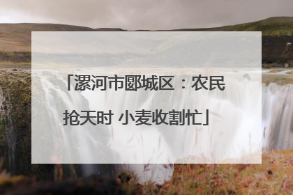 漯河市郾城区：农民抢天时 小麦收割忙