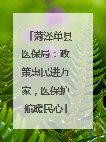 菏泽单县医保局：政策惠民进万家，医保护航暖民心