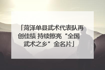 菏泽单县武术代表队再创佳绩 持续擦亮“全国武术之乡”金名片