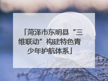 菏泽市东明县“三维联动”构建特色青少年护航体系