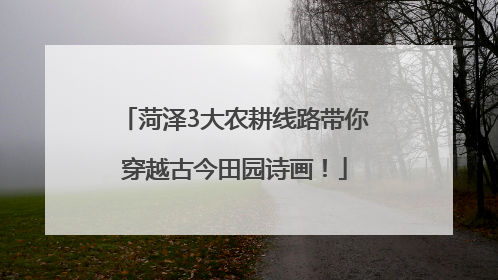 菏泽3大农耕线路带你穿越古今田园诗画！