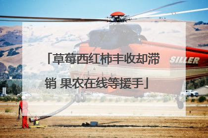 草莓西红柿丰收却滞销 果农在线等援手