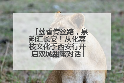 荔香传丝路，泉韵汇长安！从化荔枝文化季西安行开启双城甜蜜对话