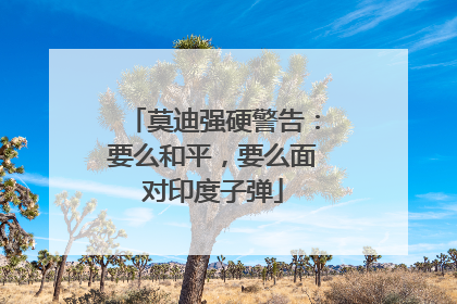 莫迪强硬警告：要么和平，要么面对印度子弹