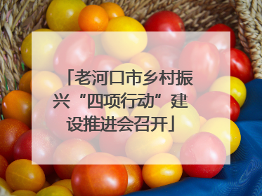 老河口市乡村振兴“四项行动”建设推进会召开