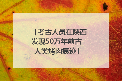 考古人员在陕西发现50万年前古人类烤肉痕迹