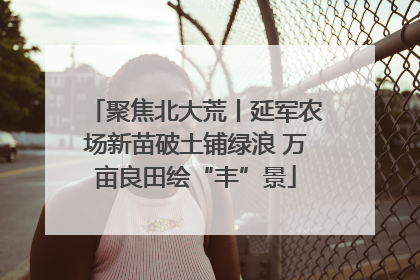 聚焦北大荒丨延军农场新苗破土铺绿浪 万亩良田绘“丰”景