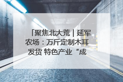 聚焦北大荒｜延军农场：万斤定制木耳发货 特色产业“成绩单”亮眼