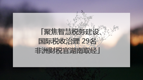 聚焦智慧税务建设、国际税收治理 29名非洲财税官湖南取经