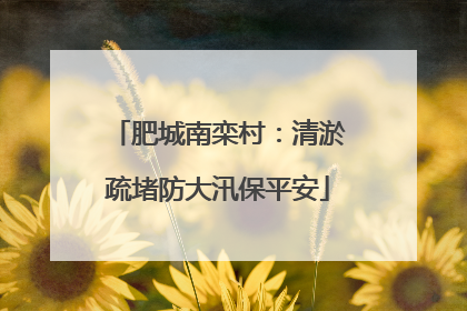 肥城南栾村：清淤疏堵防大汛保平安