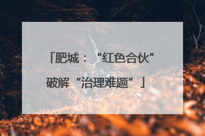 肥城：“红色合伙”破解“治理难题”