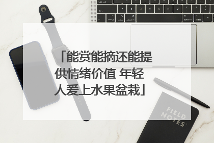 能赏能摘还能提供情绪价值 年轻人爱上水果盆栽