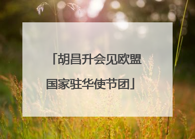 胡昌升会见欧盟国家驻华使节团