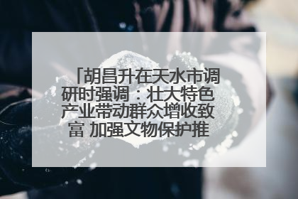 胡昌升在天水市调研时强调：壮大特色产业带动群众增收致富 加强文物保护推动文化创新发展