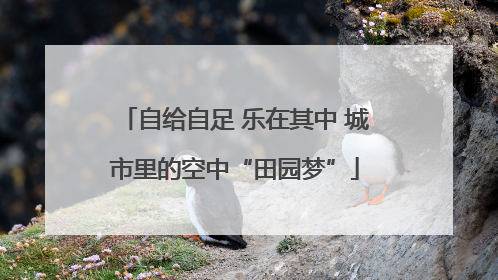 自给自足 乐在其中 城市里的空中“田园梦”