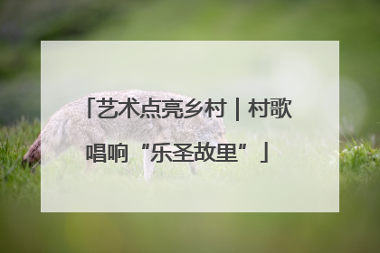 艺术点亮乡村｜村歌唱响“乐圣故里”
