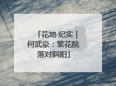 花地·纪实｜何武豪：繁花院落对斜阳