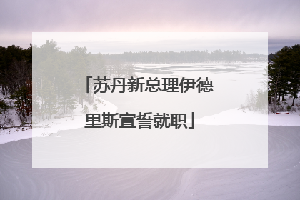 苏丹新总理伊德里斯宣誓就职