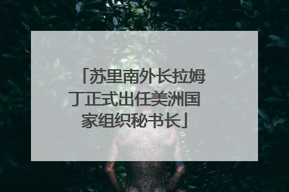 苏里南外长拉姆丁正式出任美洲国家组织秘书长
