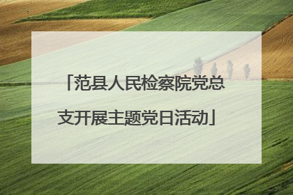 范县人民检察院党总支开展主题党日活动