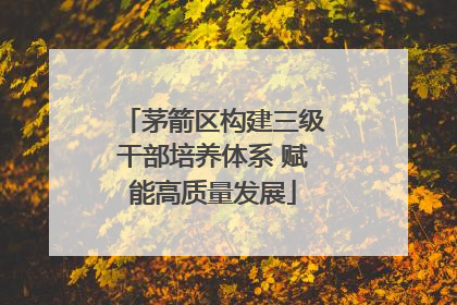 茅箭区构建三级干部培养体系 赋能高质量发展