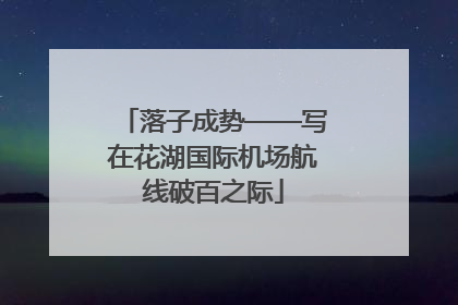 落子成势——写在花湖国际机场航线破百之际