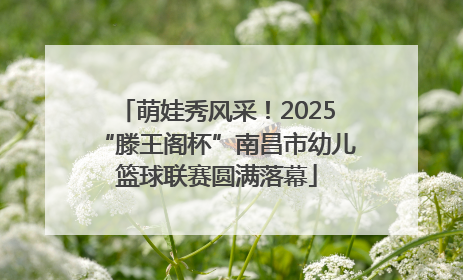 萌娃秀风采！2025“滕王阁杯”南昌市幼儿篮球联赛圆满落幕
