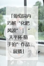 葡萄园内巧解“化肥风波”｜“天平杯·随手拍”作品展播