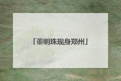 董明珠现身郑州