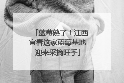 蓝莓熟了！江西宜春这家蓝莓基地迎来采摘旺季