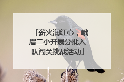 薪火润红心，峨眉二小开展分批入队闯关挑战活动
