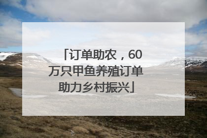订单助农，60万只甲鱼养殖订单助力乡村振兴