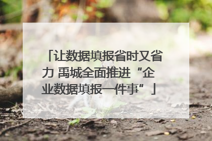 让数据填报省时又省力 禹城全面推进“企业数据填报一件事”