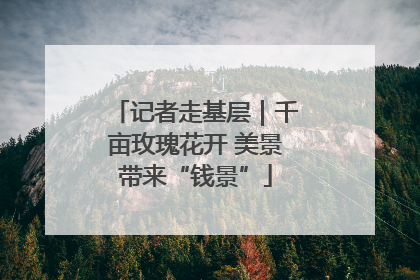 记者走基层｜千亩玫瑰花开 美景带来“钱景”