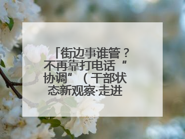 街边事谁管？不再靠打电话“协调”（干部状态新观察·走进一线探作风）