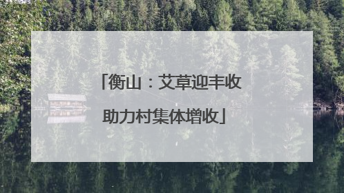 衡山：艾草迎丰收 助力村集体增收