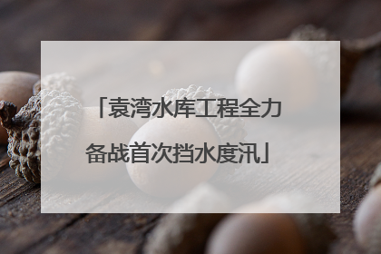 袁湾水库工程全力备战首次挡水度汛