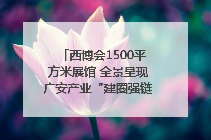 西博会1500平方米展馆 全景呈现广安产业“建圈强链”｜西博视界