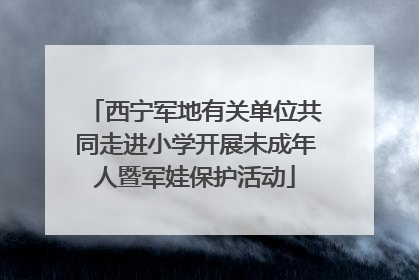 西宁军地有关单位共同走进小学开展未成年人暨军娃保护活动