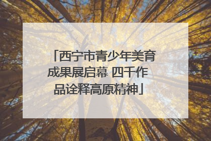 西宁市青少年美育成果展启幕 四千作品诠释高原精神
