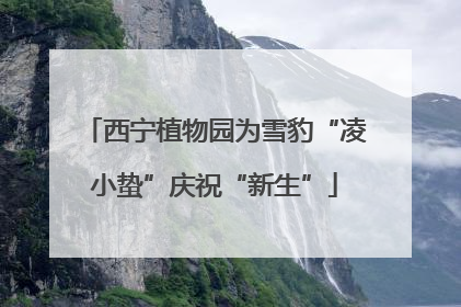 西宁植物园为雪豹“凌小蛰”庆祝“新生”