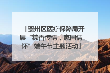 襄州区医疗保障局开展“粽香传情，家国情怀”端午节主题活动
