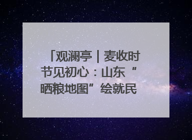观澜亭｜麦收时节见初心：山东“晒粮地图”绘就民生温暖画卷