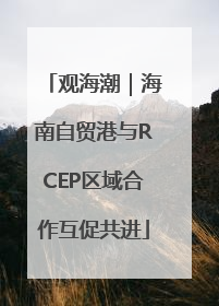 观海潮｜海南自贸港与RCEP区域合作互促共进