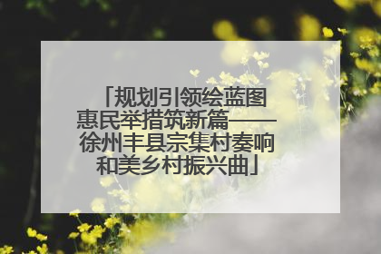 规划引领绘蓝图 惠民举措筑新篇——徐州丰县宗集村奏响和美乡村振兴曲